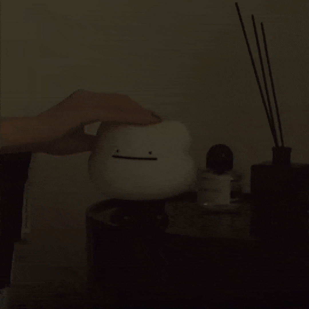Ditto
