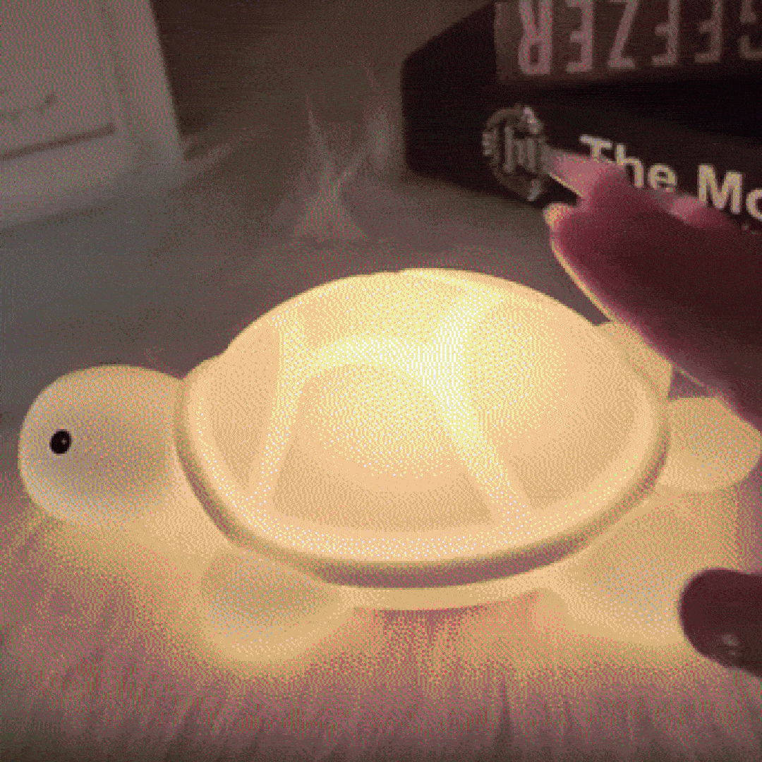 Turtle